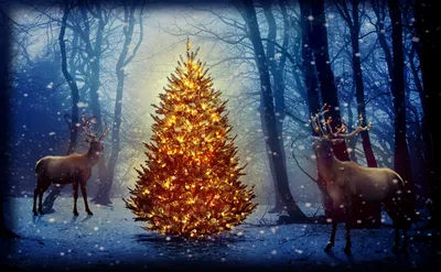 Обои зима 2014. Обои 1366х768 на рабочий стол