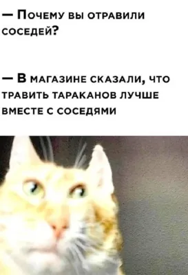 самые смешные авы на телефон｜Поиск в TikTok