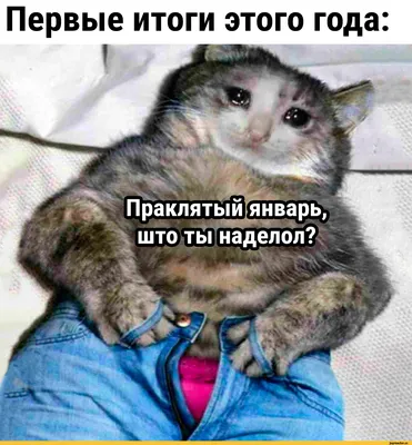 январь / смешные картинки и другие приколы: комиксы, гиф анимация, видео,  лучший интеллектуальный юмор.