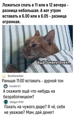 Две недели еще не прошло. Можно вернуть товар обратно?\": самые смешные  шутки о начале 2021 – фото