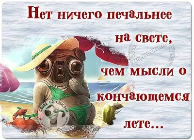 кошка оглядывается глядя на фон, кот самые смешные картинки фон картинки и  Фото для бесплатной загрузки