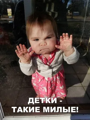 Самые милые и смешные зверята на свете))) Позитив от Крошки Енота!:  Персональные записи в журнале Ярмарки Мастеров