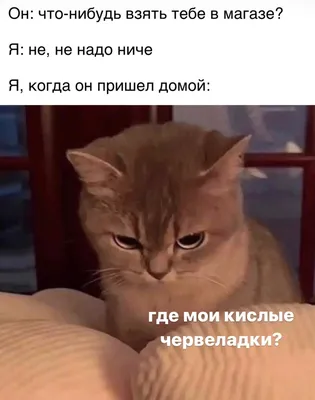 Самый смешной анекдот в мире в 2023 году: 50+ шуток
