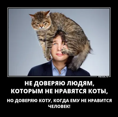 нейросети / смешные картинки и другие приколы: комиксы, гиф анимация,  видео, лучший интеллектуальный юмор.