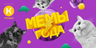 Самые смешные автобусы » BigPicture.ru