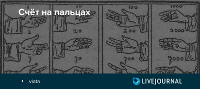 Числа на пальцах для ребенка | Пальцы, Вычисления, Математика
