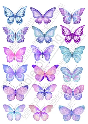 Свадебный торт с бабочками, красный, фотопечать, все съедобные 😻🦋❤️ | Торт,  Современные торты, Свадебный торт