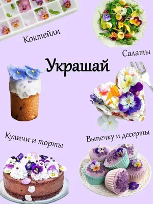 Съедобные украшения таблички - топперы из мастики \"1 сентября\" Украшение на  торт 4 шт №2 - купить с доставкой по выгодным ценам в интернет-магазине  OZON (1136816770)