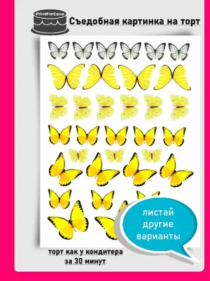 Съедобный торт-космос» — создано в Шедевруме