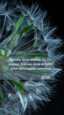 Семейные картинки на аву (100 фото) • Прикольные картинки и позитив