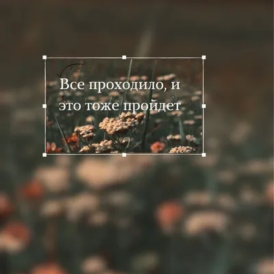 Счастливая семья на море - картинки