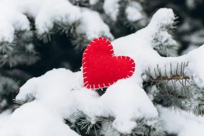Спасибо!за❤,сердце на снегу,…» — создано в Шедевруме