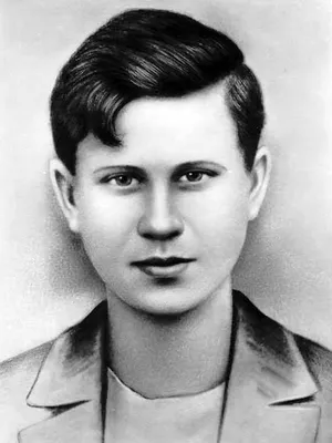 Фоновые изображения с Сергеем Гурзо