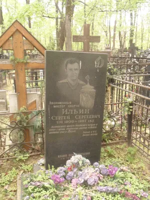 Фотографии звезды кино Сергея Ильина