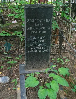 PNG изображения Сергея Ильина