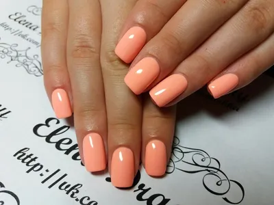Маникюр + шеллак + дизайн - Студия красоты \"NailsProfi\"