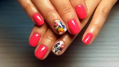 Маникюр шеллак (shellac) в Москве: цена, отзывы. Найти мастера маникюра  шеллак (shellac) на Профи