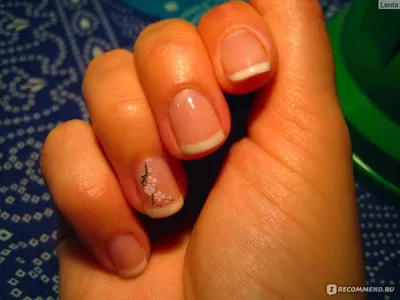 Стойкое покрытие Shellac, качественный маникюр и «Шеллак» — долговечный лак  | \"Пудра\" салон красоты в Санкт-Петербурге