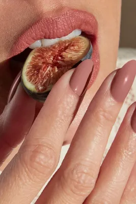 Сколько стоит шеллак - стоимость покрытия shellac для ногтей в салоне