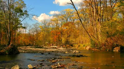 Обои лист, осень, капли картинки на рабочий стол, фото скачать бесплатно