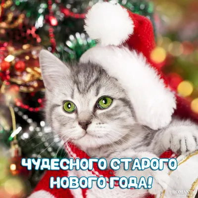 Со старым Новым годом!