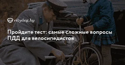 Давить, что ли, можно?»: как разбирают ДТП с велосипедистами и кого чаще  признают виновным - Новый Калининград.Ru