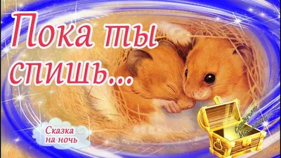 Ванины сны 🌠 Сказка на ночь для быстрого засыпания. Аудиосказки перед сном.  Сказкотерапия - YouTube