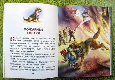 Книга чтения девочки и смотреть картинки в ночь перед тем, как идти спать.  Сказки на ночь для ребенка Стоковое Изображение - изображение насчитывающей  ребенок, сон: 210970159