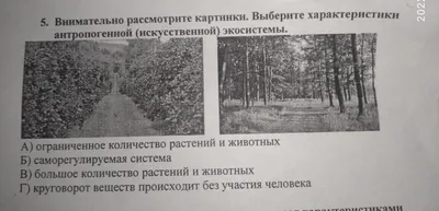 Только человек с уникальным визуальным восприятием сумеет правильно  посчитать количество лиц на этой картинке — Flytothesky.ru