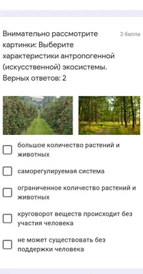 Сколько человек вы видите на картинке?