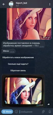 Изолированные Человек Руки Показать Количество — стоковые фотографии и  другие картинки Белый - Белый, Большой палец руки, Взрослый - iStock