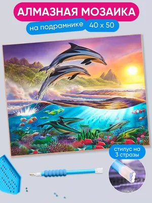 Дельфины — Википедия