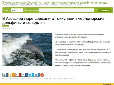 Свидание дельфинов\" Wizardi арт. WD222