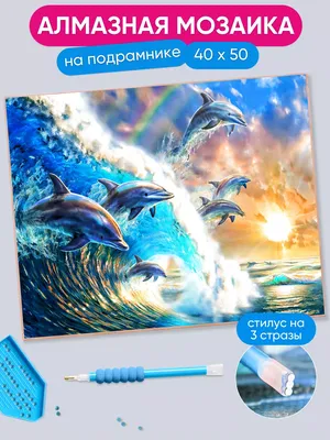 дельфины / смешные картинки и другие приколы: комиксы, гиф анимация, видео,  лучший интеллектуальный юмор.