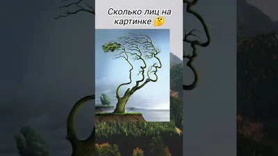 СКОЛЬКО ЛИЦ ТЫ ВИДИШЬ НА КАРТИНКЕ? #shortsvideo - YouTube