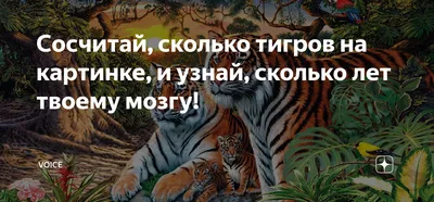 Сколько на картинке тигров — 3 или 7? Тест. | Пора отдохнуть | Дзен