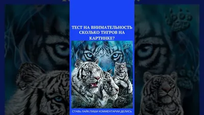 Пазл Рыжий кот \"ТИГР НА ФОНЕ МОРЯ\" 1000 элементов - купить с доставкой по  выгодным ценам в интернет-магазине OZON (383303491)