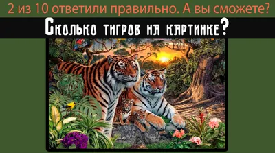 Сколько тигров на картинке? Настоящее испытание на внимательность |  Офигенно | Дзен