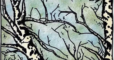 Книга АСТ Первая книжка малыша о животных купить по цене 670 ₽ в  интернет-магазине Детский мир