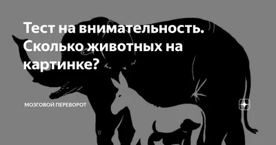 Где 4 животных на картинке? Головоломка с ответом