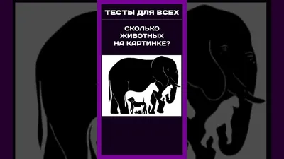 Тест на Альцгеймера: сколько животных вы насчитаете на картинке? | Вокруг  Света