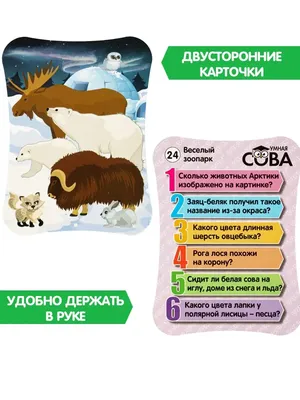 Подсчет Игры Для Детей Дошкольного Возраста Изучение Математики Сколько  Животных На Картинке С Пространством Для Ответов Простая Плоск — стоковая  векторная графика и другие изображения на тему Без людей - iStock