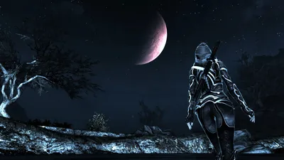 Обои на рабочий стол Пожелтевшие ели на горных склонах из игры Скайрим /  Skyrim, by WatchTheSkiies, обои для рабочего стола, скачать обои, обои  бесплатно