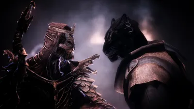 Обои The Elder Scrolls V: Skyrim Видео Игры The Elder Scrolls V: Skyrim,  обои для рабочего стола, фотографии the, elder, scrolls, skyrim, видео,  игры, доспехи, амазонка Обои для рабочего стола, скачать обои