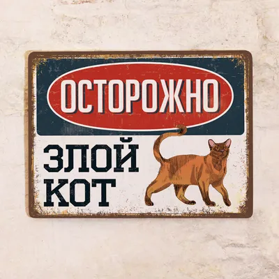 Смешная табличка с надписью Злой кот - Рыжий, для декора забора на даче на  забор в винтажном стиле , прикольный подарок друзьям на 8 марта/ 23  февраля, металл, 20х30см. , 30 см,