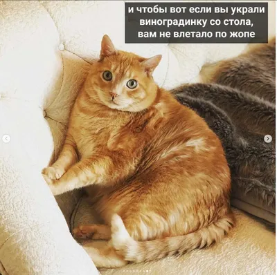 С 8 марта! | Пикабу
