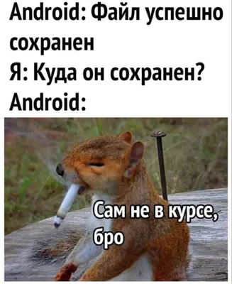 Коротко про андроид😂 | Смешные шутки, Смешные мемы, Веселые картинки