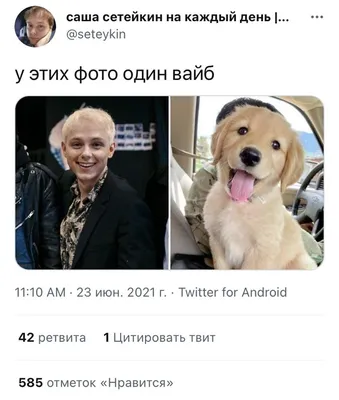 Смешные картинки ❘ 15 фото от 13 ноября 2022 | Екабу.ру - развлекательный  портал