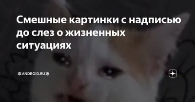 андроид. / смешные картинки и другие приколы: комиксы, гиф анимация, видео,  лучший интеллектуальный юмор.