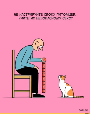 Прикольные коты на аву ;) | Мидо́ри | Мемозг